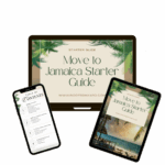 Copy Of Starter Guide Mockup Photoroom 1 150x150